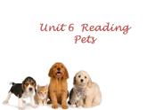 牛津版（深圳广州）八年下册第六单元课件Unit 6  Pets  reading 1