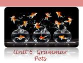 牛津版（深圳广州）八年下册第六单元课件Unit 6  Pets Grammar