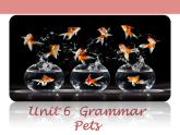 牛津版（深圳廣州）八年下冊(cè)第六單元課件Unit 6  Pets Grammar