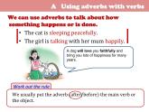 牛津版（深圳廣州）八年下冊(cè)第六單元課件Unit 6  Pets Grammar