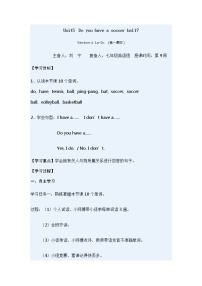 初中英语人教新目标 (Go for it) 版七年级上册Unit 5 Do you have a soccer ball?Section A学案