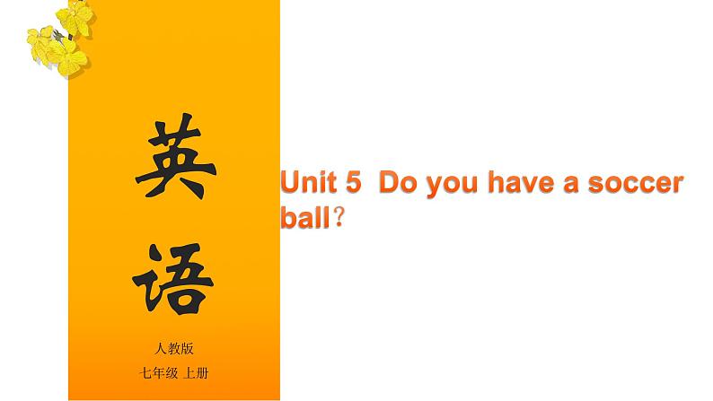 Unit 5 Do you have a soccer ball？（课件）-2020-2021学年七年级上学期英语单元完美同步梳理（人教版）第1页