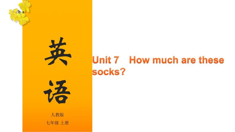 Unit 7 How much are these socks（课件）-2020-2021学年七年级上学期英语单元完美同步梳理（人教版）01