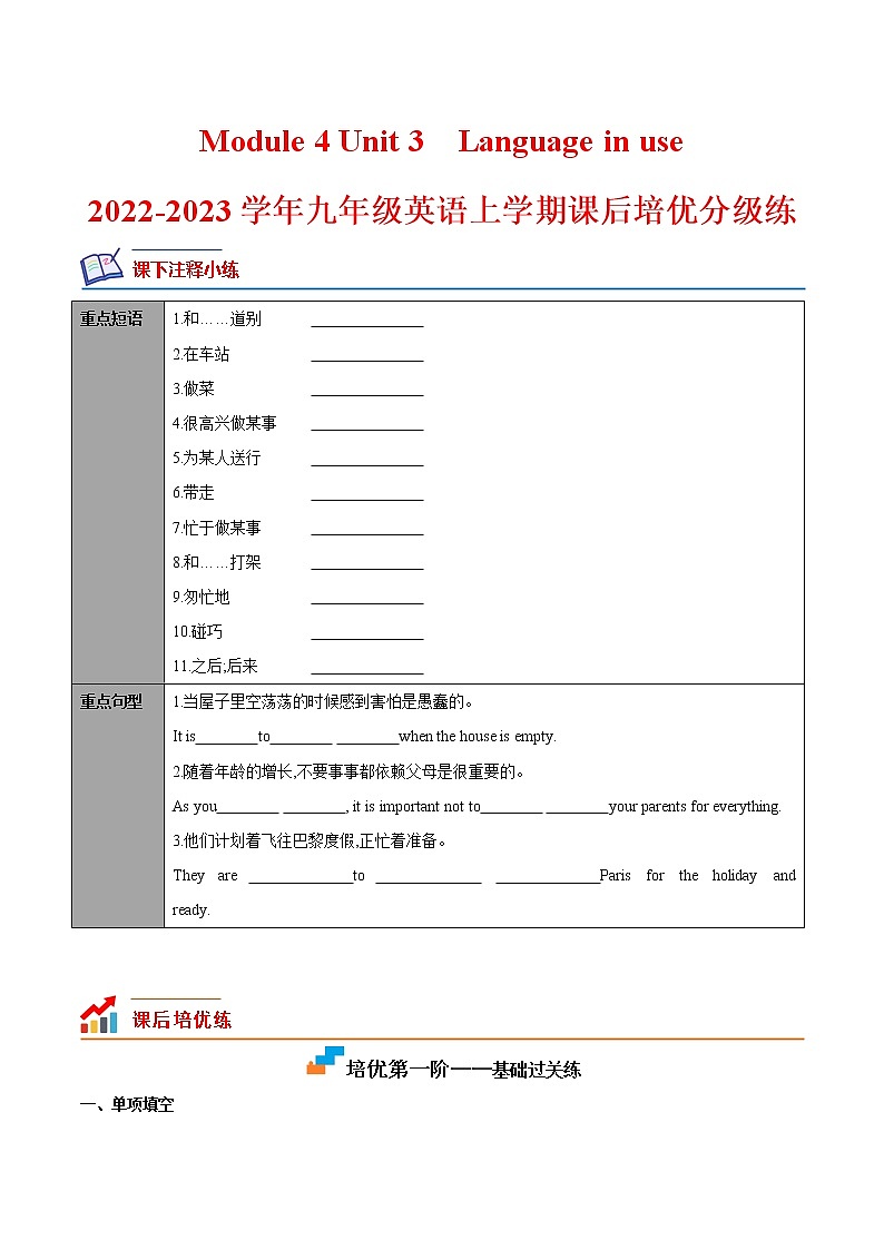 Module 4 Unit 3-2022-2023学年九年级英语上册课后培优分级练（外研版）（原卷版）第1页