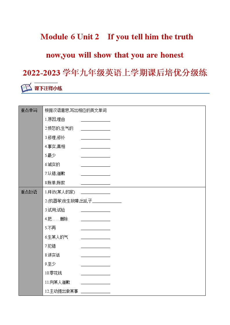 Module 6 Unit 2-2022-2023学年九年级英语上册课后培优分级练（外研版）（原卷版）第1页