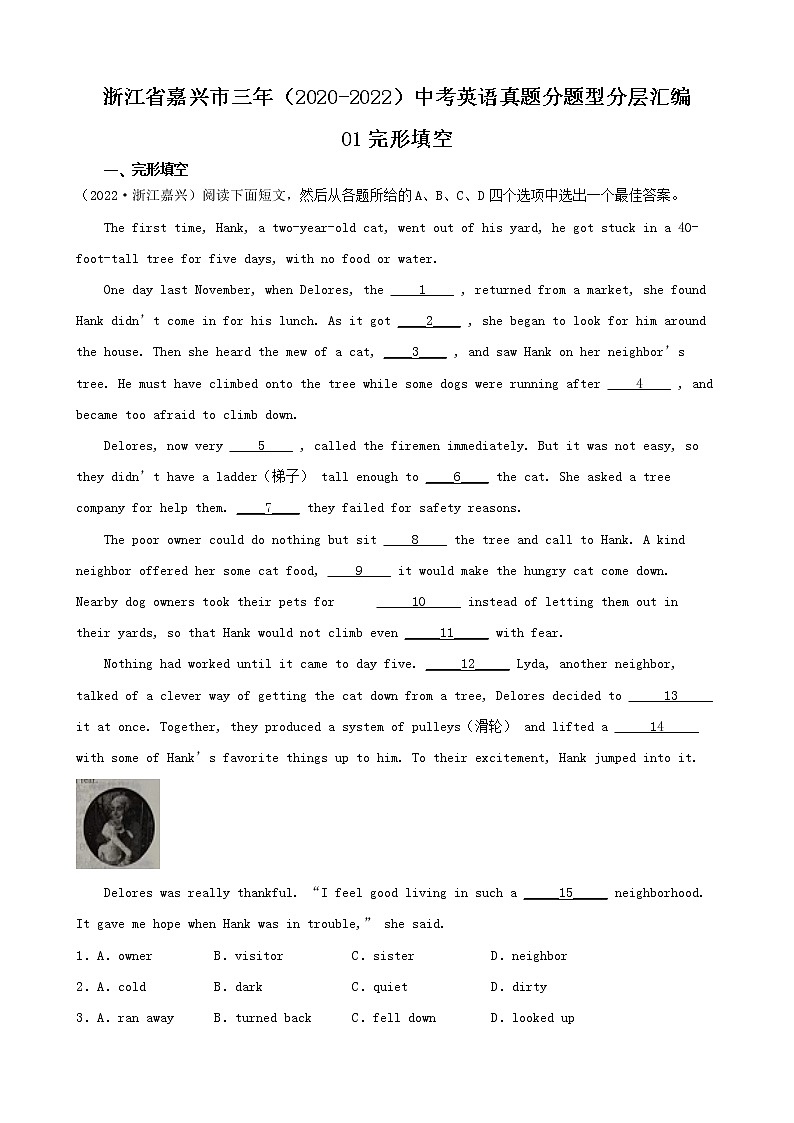 浙江省嘉兴市三年（2020-2022）中考英语真题分题型分层汇编-01完形填空第1页