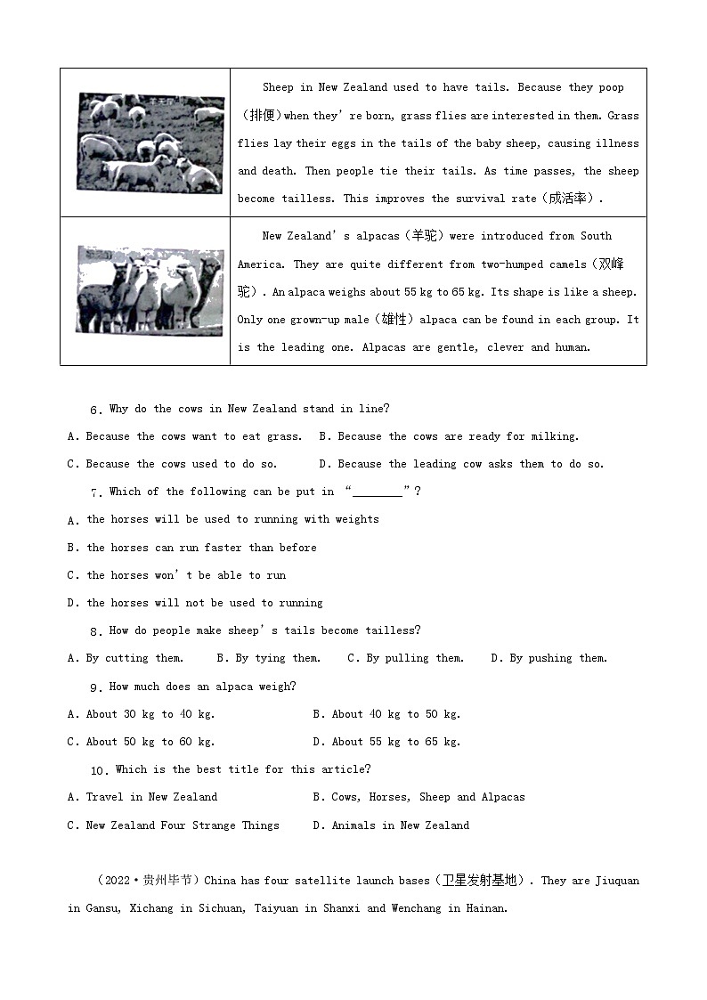 贵州省毕节市三年（2020-2022）中考英语真题分题型分层汇编-03阅读单选&阅读还原第3页