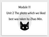 Module 11 Unit 2- 2021-2022学年九年级英语上册课件（外研版）