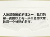 英语人教版七年级下册同步教学课件unit 5 why do you like pandas section b