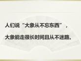 英语人教版七年级下册同步教学课件unit 5 why do you like pandas section b
