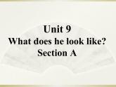 英语人教版七年级下册同步教学课件unit 9 what does he look like section a
