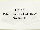 英语人教版七年级下册同步教学课件unit 9 what does he look like section b