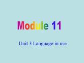英语外研版九年级上册同步教学课件module 11 unit 3 language in use