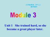 英语外研版九年级上册同步教学课件module 3 unit 1 she trained hard，so she became a great player later