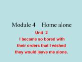 英语外研版九年级上册同步教学课件module 4 unit 2 i became so bored with their orders that i wished they would leave me alone
