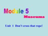 英語外研版九年級上冊同步教學(xué)課件module 5 unit 1 don't cross that rope