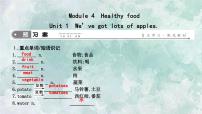 外研版 (新标准)七年级上册Unit 1 We’ve got lots of apples.教学ppt课件