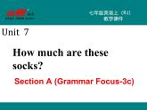 七年级英语上册 Unit 7 Section A (Grammar Focus-3c)精品教学课件
