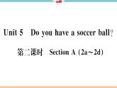 Unit 5 Do you have a soccer ball 第二课时 习题课件