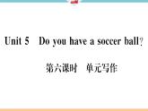 Unit 5 Do you have a soccer ball 第六课时 习题课件