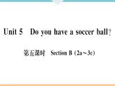 Unit 5 Do you have a soccer ball 第五课时 习题课件