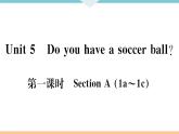 Unit 5 Do you have a soccer ball 第一课时 习题课件