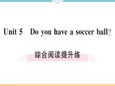 Unit 5 Do you have a soccer ball 综合阅读提升练 习题课件