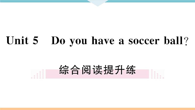 Unit 5 Do you have a soccer ball 综合阅读提升练 习题课件第2页