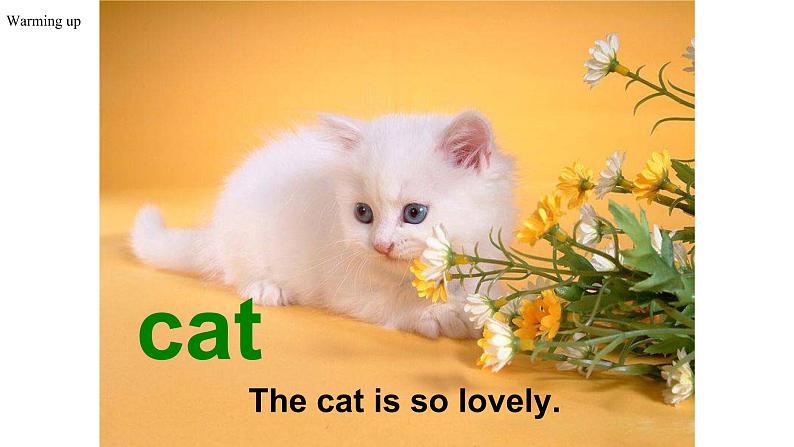 Unit 2 Topic 3（备课件）- 2022-2023学年七年级英语上册同步备课系列（仁爱版）04