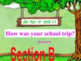 初中英语七年级下册unit11Section B上课用课件