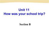 初中英语七年级下册unit11Section B课件