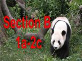 初中英语七年级下册unit 5Section B 1课件