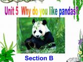 初中英语七年级下册unit 5Unit 5 Section B课件