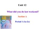 初中英语七年级下册unit 12Section A-1课件