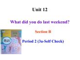 初中英语七年级下册unit 12Section B-2课件