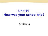 初中英语七年级下册unit11Section A课件