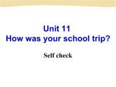初中英语七年级下册unit11Self check课件