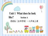 Unit 1  What does he look like ？（课件） 鲁教版（五四学制）英语七年级上册