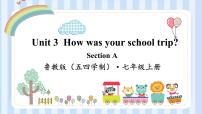 鲁教版 (五四制)七年级上册Section A教学演示ppt课件