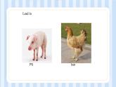 Unit 5  Where did you go on vacation？（課件） 魯教版（五四學制）英語七年級上冊