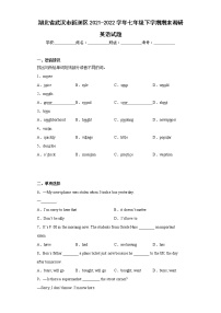 湖北省武汉市新洲区2021-2022学年七年级下学期期末调研英语试题(含答案)