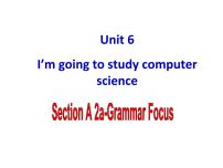 英语人教新目标 (Go for it) 版Unit 6 I’m going to study computer science.Section A多媒体教学ppt课件