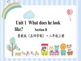 Unit 2 Section B 课件2022-2023学年鲁教版（五四学制）英语八年级上册