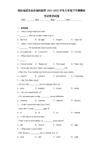 湖北省武汉市东湖高新区2021-2022学年八年级下学期期末考试英语试题(含答案)