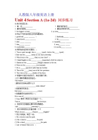 英语八年级上册Section A当堂达标检测题