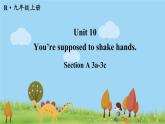 人教版九年级下册英语 Unit 10 第2课时(A 3a-3c) PPT课件