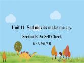 人教版九年级下册英语 Unit 11 第6课时(B 3a-Self Check) PPT课件