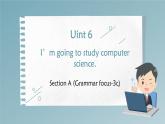 人教新目标七年级英语上册-- Unit 6 I'm going to study computer science Section A(Grammar focus-3c) 课件