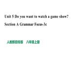 人教新目标七年级英语上册-- Unit 5 Do you want to watch a game show Section A GF-3c 课件+视频