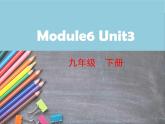 九年级下Module 6 Eating together Unit 3 Language in use 课件